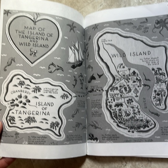 My Fathers Dragon. Written by Ruth Stiles Gannett. Paperback book. - Picture 7 of 9